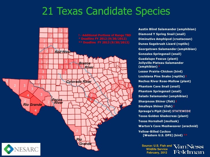 Endangered Species Act New Threat to Texas and Need for Reform