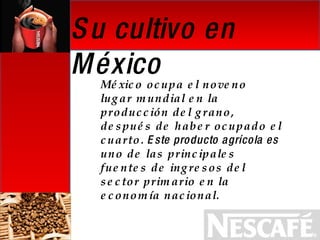 Su cultivo en México México ocupa el noveno lugar mundial en la producción del grano, después de haber ocupado el cuarto . Este producto agrícola es  uno de las principales fuentes de ingresos del sector primario en la economía nacional .  