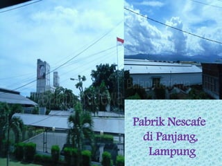 Pabrik Nescafe
di Panjang,
Lampung
 