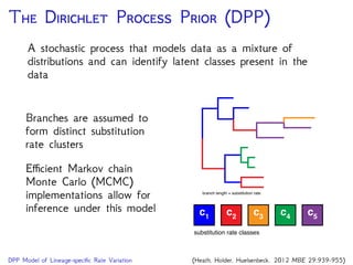 Distinct Distribution Divergence-time estimation in RevBayes | PDF
