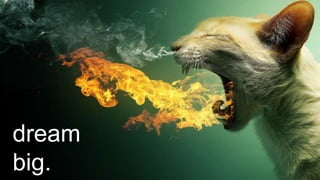 dream 
big. 
 