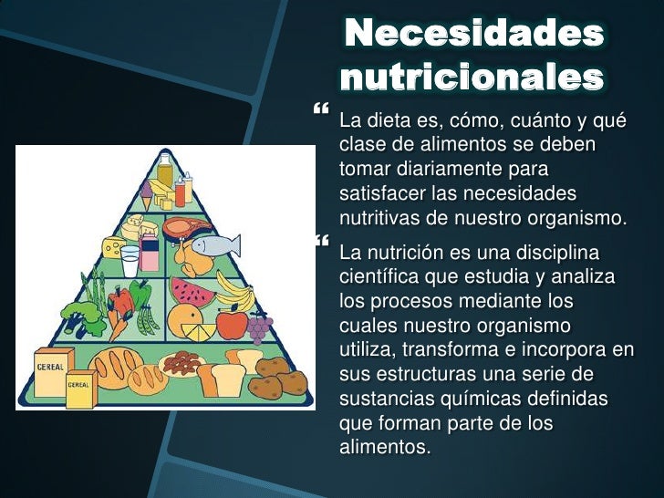 Necesidades nutricionales
