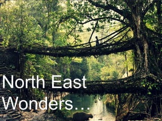North East
Wonders…
 