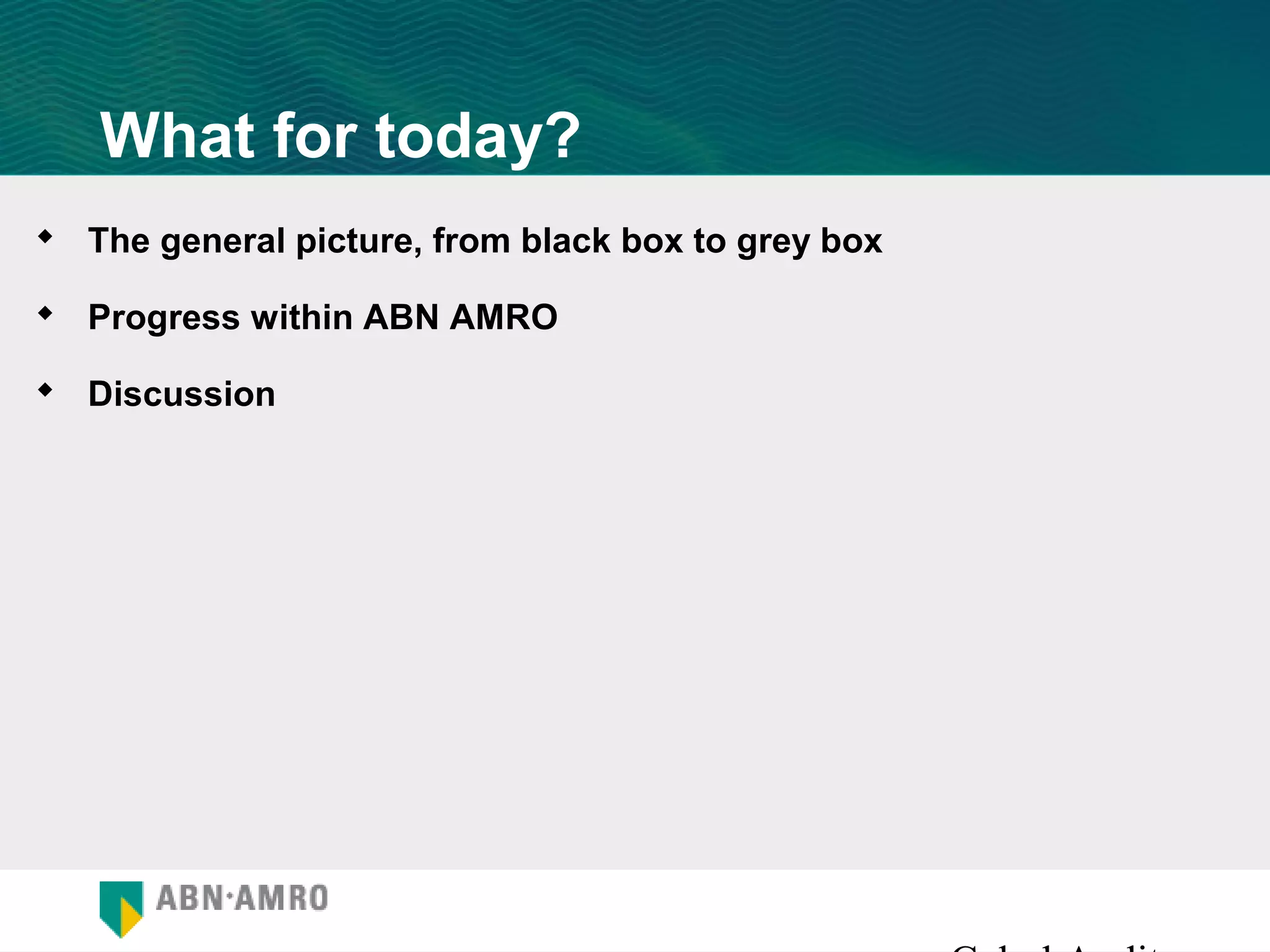 What for today?
 The general picture, from black box to grey box

 Progress within ABN AMRO

 Discussion
 