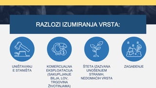RAZLOZI IZUMIRANJA VRSTA:
UNIŠTAVANJ
E STANIŠTA
KOMERCIJALNA
EKSPLOATACIJA
(SAKUPLJANJE
BILJA, LOV,
TRGOVINA
ŽIVOTINJAMA)
ŠTETA IZAZVANA
UNOŠENJEM
STRANIH,
NEDOMAĆIH VRSTA
ZAGAĐENJE
 