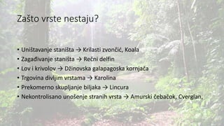 Zašto vrste nestaju?
• Uništavanje staništa → Krilasti zvončić, Koala
• Zagađivanje staništa → Rečni delfin
• Lov i krivolov → Džinovska galapagoska kornjača
• Trgovina divljim vrstama → Karolina
• Prekomerno skupljanje biljaka → Lincura
• Nekontrolisano unošenje stranih vrsta → Amurski čebačok, Cverglan,
 