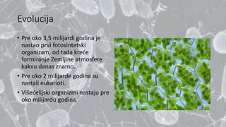 Evolucija
• Pre oko 3,5 milijardi godina je
nastao prvi fotosintetski
organizam, od tada kreće
formiranje Zemljine atmosfere
kakvu danas znamo.
• Pre oko 2 milijarde godina su
nastali eukarioti.
• Višećelijski organizmi nastaju pre
oko milijardu godina.
 