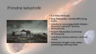 Prirodne katastrofe
• 5 u toku evolucije.
• Kraj Paleozoika: nestalo 80% živog
sveta.
• Usledio je razvoj gigantskih biljaka i
životinja (rastavići i prečice,
dinosaurusi).
• Krajem Mezozoika izumiranje
dinosaurusa.
• Usledio je razvoj cvetnica i procvat
sisara.
• Nestanak mnogih vrsta nakon
poslednjeg ledenog doba.
 