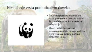 Nestajanje vrsta pod uticajem čoveka
• Čovekovi postupci dovode do
brzih promena u životnoj sredini
što ne daje prirodi vremena za
adaptaciju.
• Usled različitih čovekovih
delovanja nestaju mnoge vrste, a
njihov spisak možete naći na
sledećem linku.
←
 