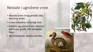 Nestale i ugrožene vrste
• Nestale vrste: kragujevački slez,
karolina, dodo.
• U zoo vrtovima: crnonogi tvor.
• Kritično ugrožene vrste: istočne i
planinske gorile, beli bengalski
tigar.
• Reintrodukcija, zaštita staništa.
 