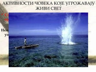 АКТИВНОСТИ ЧОВЕКА КОЈЕ УГРОЖАВАЈУ
ЖИВИ СВЕТ
Стицање материјалних користи на рачун
природних богатстава:
Неконтролисан риболов у време мреста,
употребом експлозивних средстава
 