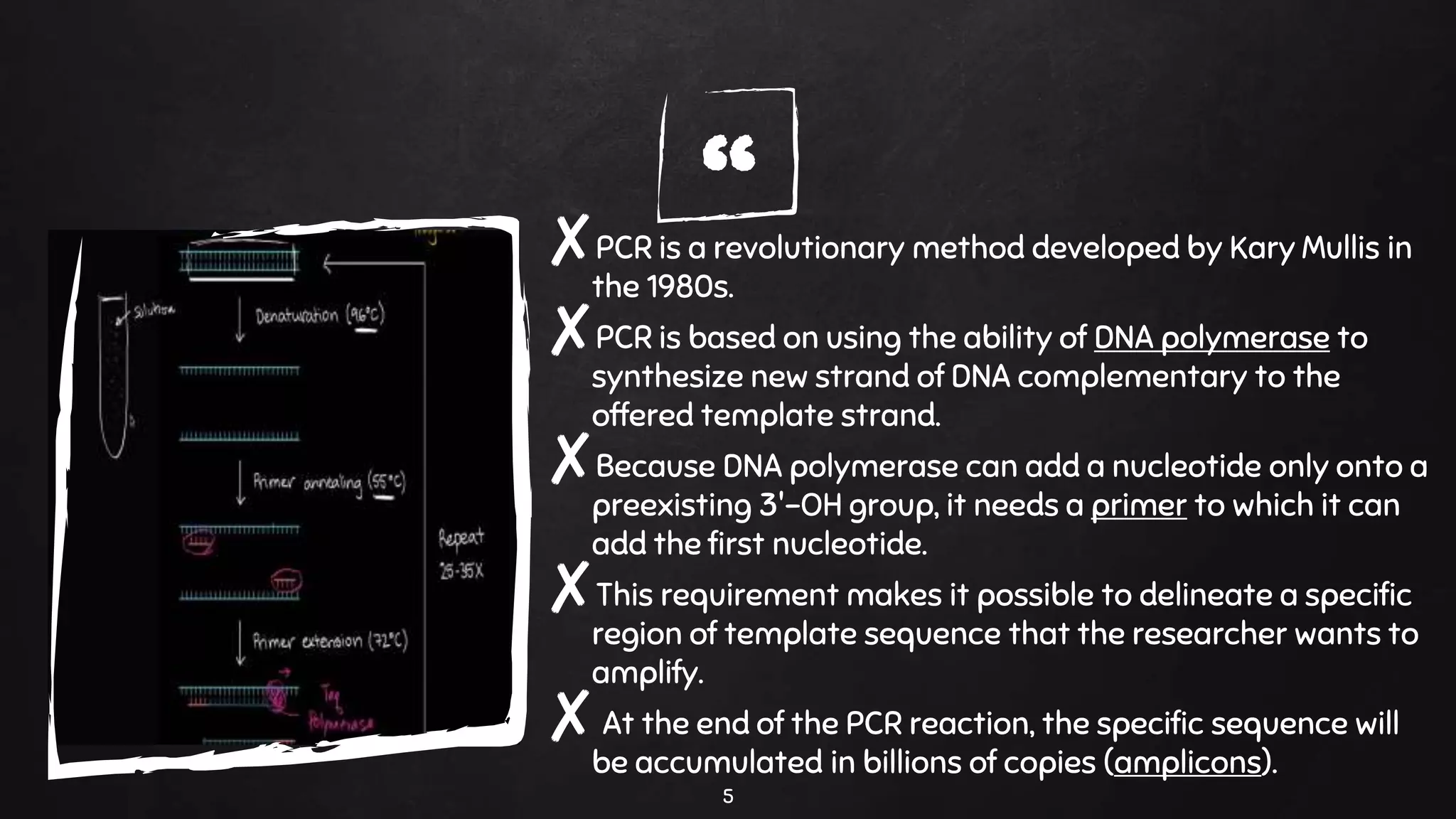 Nested pcr | PPTX | Chemistry | Science