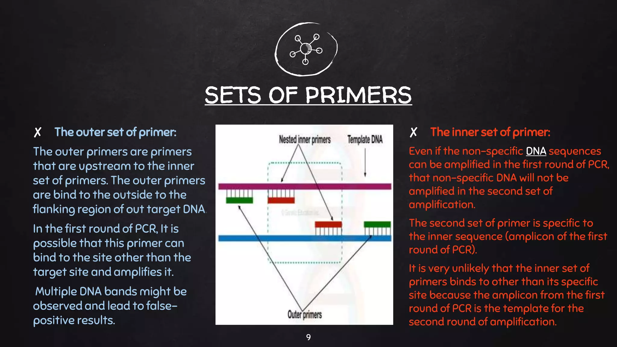 Nested pcr | PPTX