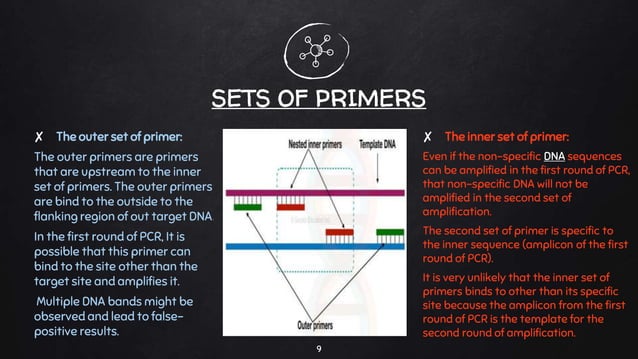 Nested pcr | PPTX