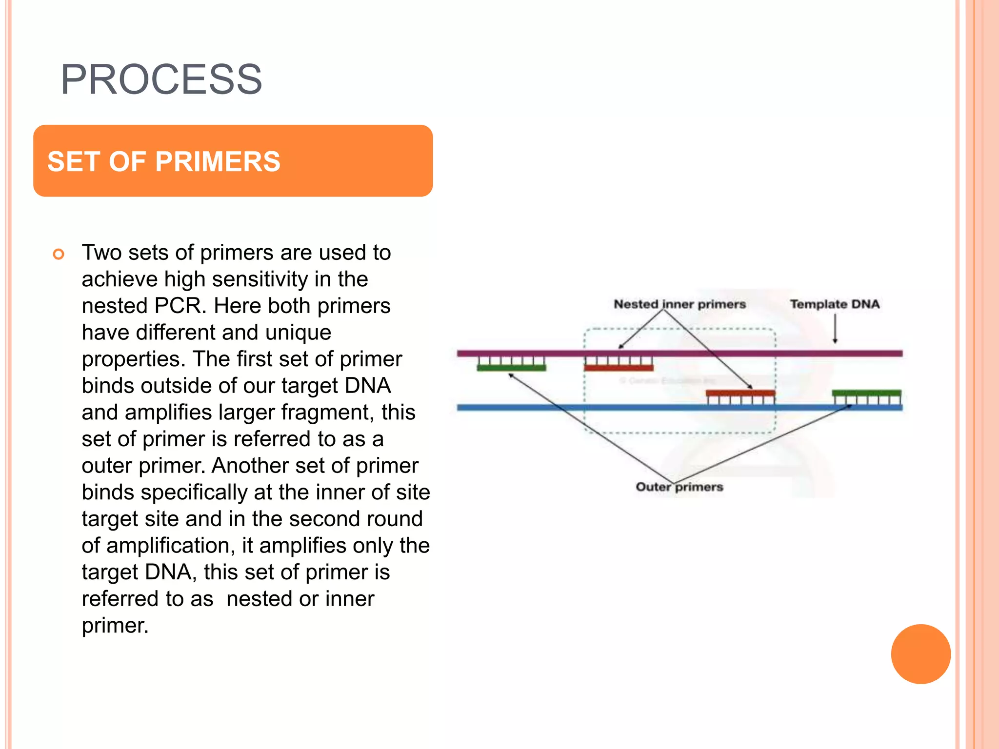 Nested pcr | PPTX | Genetics | Science