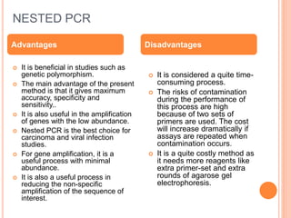 Nested pcr | PPTX | Genetics | Science