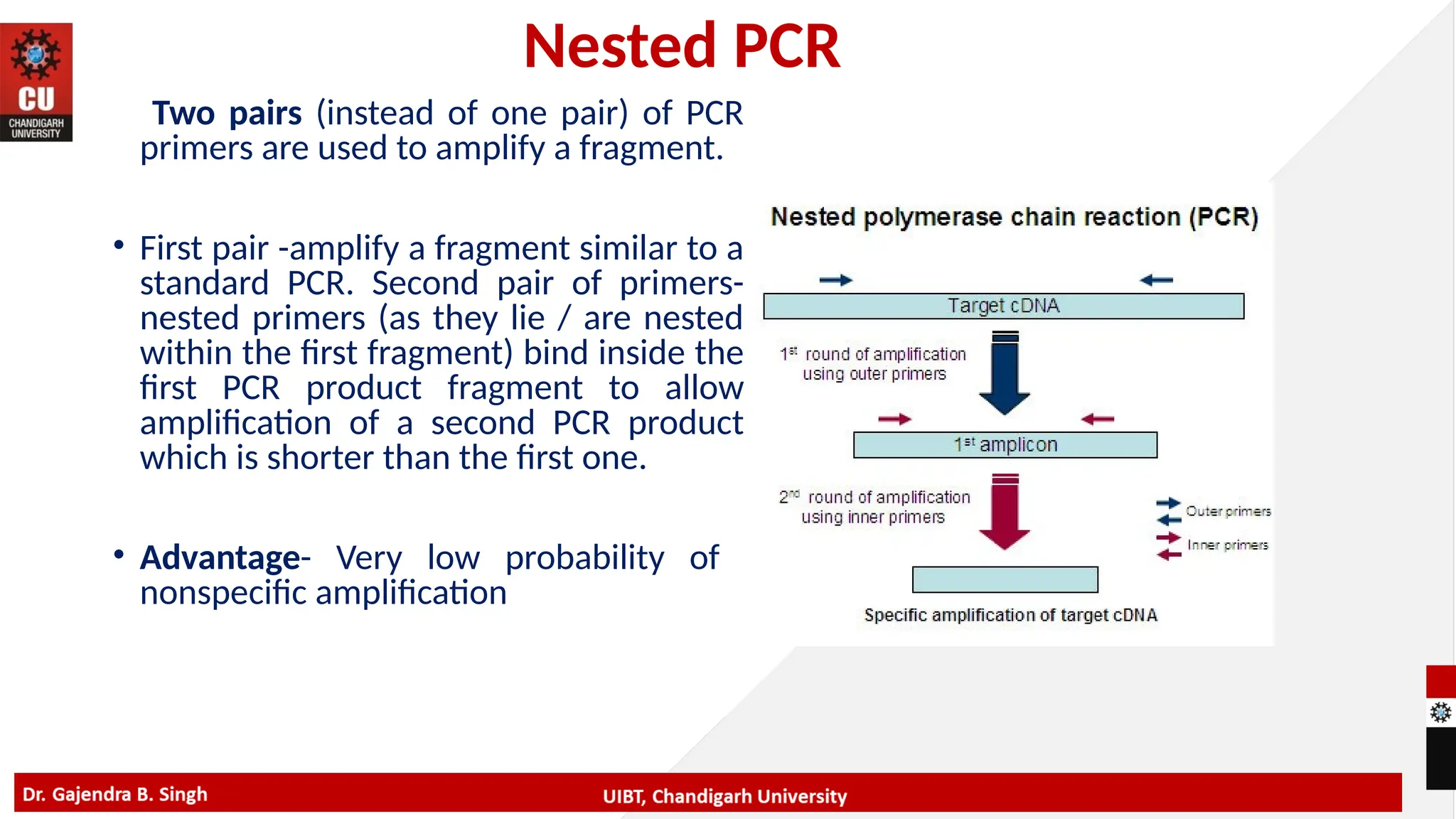 Polymerase Chain Reaction Nested PCR and Multiplex PCR.pptx