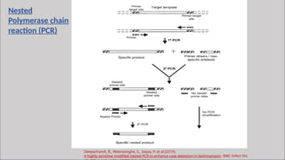 7
Nested
Polymerase chain
reaction (PCR)
Deepachandi, B., Weerasinghe, S., Soysa, P. et al (2019).
A highly sensitive modified nested PCR to enhance case detection in leishmaniasis. BMC Infect Dis
 
