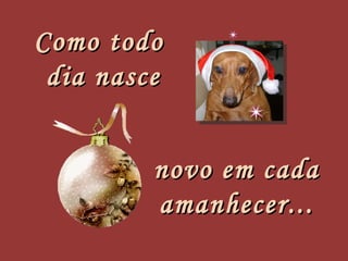 Como todo  dia nasce novo em cada amanhecer... 