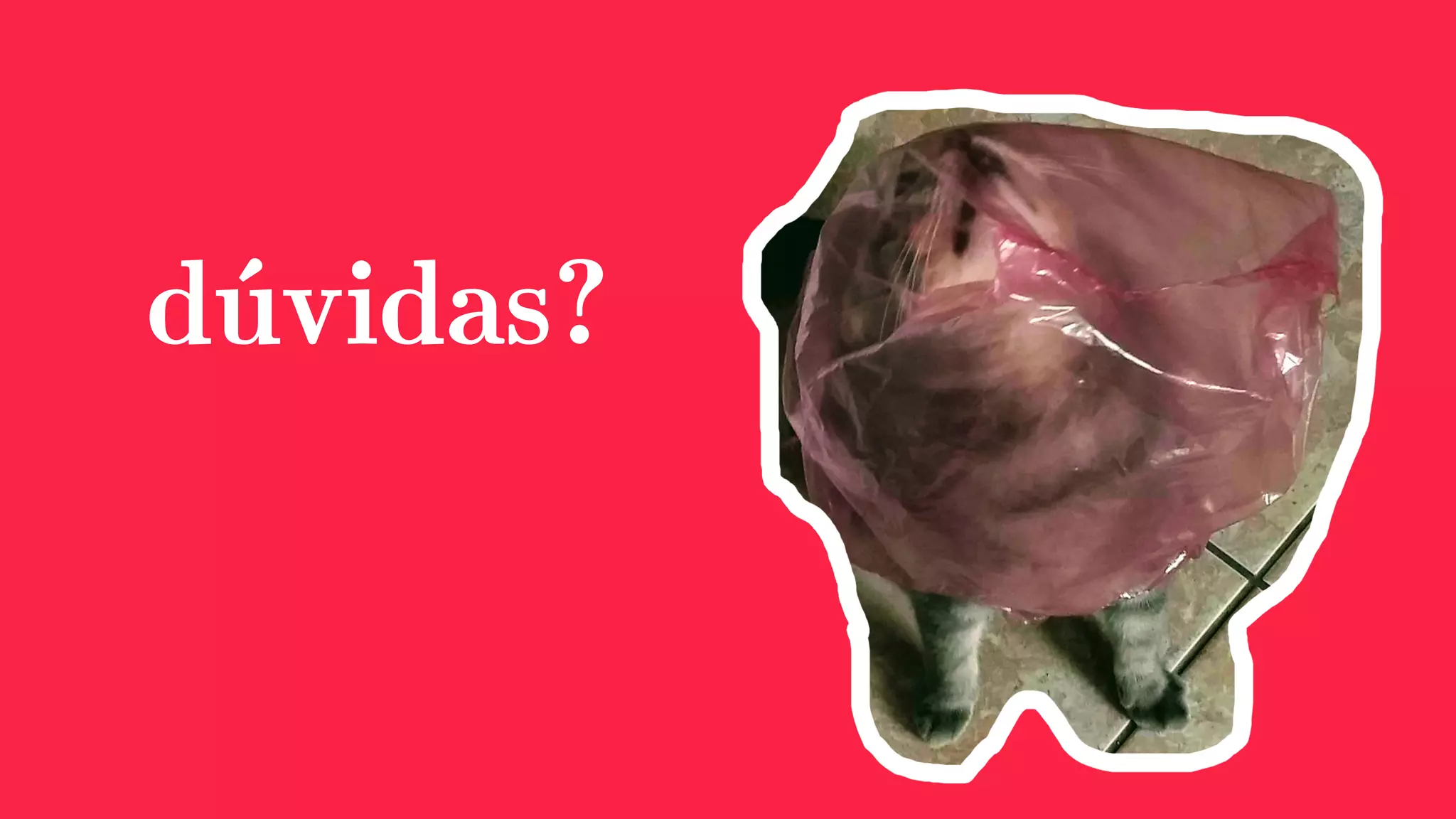 dúvidas?
 