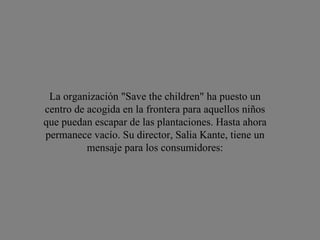 La organización "Save the children" ha puesto un centro de acogida en la frontera para aquellos niños que puedan escapar de las plantaciones. Hasta ahora permanece vacío. Su director, Salia Kante, tiene un mensaje para los consumidores: 