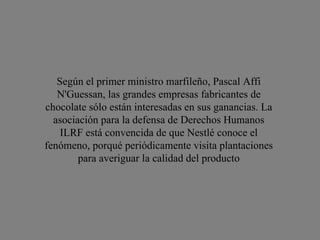 Según el primer ministro marfileño, Pascal Affi N'Guessan, las grandes empresas fabricantes de chocolate sólo están interesadas en sus ganancias. La asociación para la defensa de Derechos Humanos ILRF está convencida de que Nestlé conoce el fenómeno, porqué periódicamente visita plantaciones para averiguar la calidad del producto 