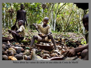 N iños abren las vainas de cacao en una aldea de Costa de Marfil 