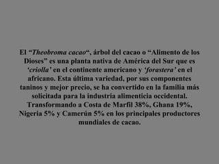 El  “ Theobroma cacao “, árbol del cacao o “Alimento de los Dioses” es una planta nativa de América del Sur que es  ‘criolla’  en el continente americano y  ‘forastera’  en el africano. Esta última variedad, por sus componentes taninos y mejor precio, se ha convertido en la familia más solicitada para la industria alimenticia occidental. Transformando a Costa de Marfil 38%, Ghana 19%, Nigeria 5% y Camerún 5% en los principales productores mundiales de cacao. 