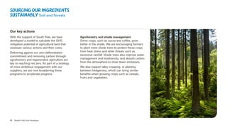 15 Nestlé’s Net Zero Roadmap
Our key actions
With the support of South Pole, we have
developed a model to calculate the GHG
mitigation potential of agricultural land that
assesses various actions and their costs.
Delivering against our zero deforestation
commitment and removing carbon through
agroforestry and regenerative agriculture are
key to reaching net zero. As part of a strategy
of more ambitious engagement with our
suppliers, we are now broadening these
programs to accelerate progress.
Agroforestry and shade management
Some crops, such as cocoa and coffee, grow
better in the shade. We are encouraging farmers
to plant more shade trees to protect these crops
from heat stress and other threats such as
excessive rainfall. Shade trees also improve water
management and biodiversity, and absorb carbon
from the atmosphere to drive down emissions.
We also support alley cropping, or planting
between hedgerows, which can bring similar
benefits when growing crops such as cereals,
fruits and vegetables.
Sourcing our ingredients
sustainably Soil and forests
 