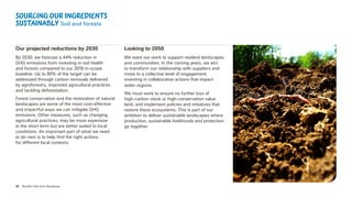 18 Nestlé’s Net Zero Roadmap
Our projected reductions by 2030
By 2030, we forecast a 44% reduction in
GHG emissions from investing in soil health
and forests compared to our 2018 in-scope
baseline. Up to 80% of the target can be
addressed through carbon removals delivered
by agroforestry, improved agricultural practices
and tackling deforestation.
Forest conservation and the restoration of natural
landscapes are some of the most cost-effective
and impactful ways we can mitigate GHG
emissions. Other measures, such as changing
agricultural practices, may be more expensive
in the short term but are better suited to local
conditions. An important part of what we need
to do next is to help find the right actions
for different local contexts.
Looking to 2050
We want our work to support resilient landscapes
and communities. In the coming years, we aim
to transform our relationship with suppliers and
move to a collective level of engagement,
investing in collaborative actions that impact
wider regions.
We must work to ensure no further loss of
high‑carbon stock or high-conservation value
land, and implement policies and initiatives that
restore these ecosystems. This is part of our
ambition to deliver sustainable landscapes where
production, sustainable livelihoods and protection
go together.
Sourcing our ingredients
sustainably Soil and forests
 