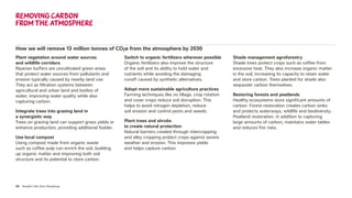 39 Nestlé’s Net Zero Roadmap
How we will remove 13 million tonnes of CO2e from the atmosphere by 2030
Plant vegetation around water sources
and wildlife corridors
Riparian buffers are uncultivated green areas
that protect water sources from pollutants and
erosion typically caused by nearby land use.
They act as filtration systems between
agricultural and urban land and bodies of
water, improving water quality while also
capturing carbon.
Integrate trees into grazing land in
a synergistic way
Trees on grazing land can support grass yields or
enhance production, providing additional fodder.
Use local compost
Using compost made from organic waste
such as coffee pulp can enrich the soil, building
up organic matter and improving both soil
structure and its potential to store carbon.
Switch to organic fertilizers wherever possible
Organic fertilizers also improve the structure
of the soil and its ability to hold water and
nutrients while avoiding the damaging
runoff caused by synthetic alternatives.
Adopt more sustainable agriculture practices
Farming techniques like no tillage, crop rotation
and cover crops reduce soil disruption. This
helps to avoid nitrogen depletion, reduce
soil erosion and control pests and weeds.
Plant trees and shrubs
to create natural protection
Natural barriers created through intercropping
and alley cropping protect crops against severe
weather and erosion. This improves yields
and helps capture carbon.
Shade management agroforestry
Shade trees protect crops such as coffee from
excessive heat. They also increase organic matter
in the soil, increasing its capacity to retain water
and store carbon. Trees planted for shade also
sequester carbon themselves.
Restoring forests and peatlands
Healthy ecosystems store significant amounts of
carbon. Forest restoration creates carbon sinks
and protects waterways, wildlife and biodiversity.
Peatland restoration, in addition to capturing
large amounts of carbon, maintains water tables
and reduces fire risks.
Removing carbon
from the atmosphere
 