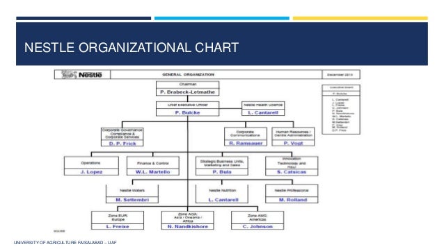 Colgate Organizational Chart