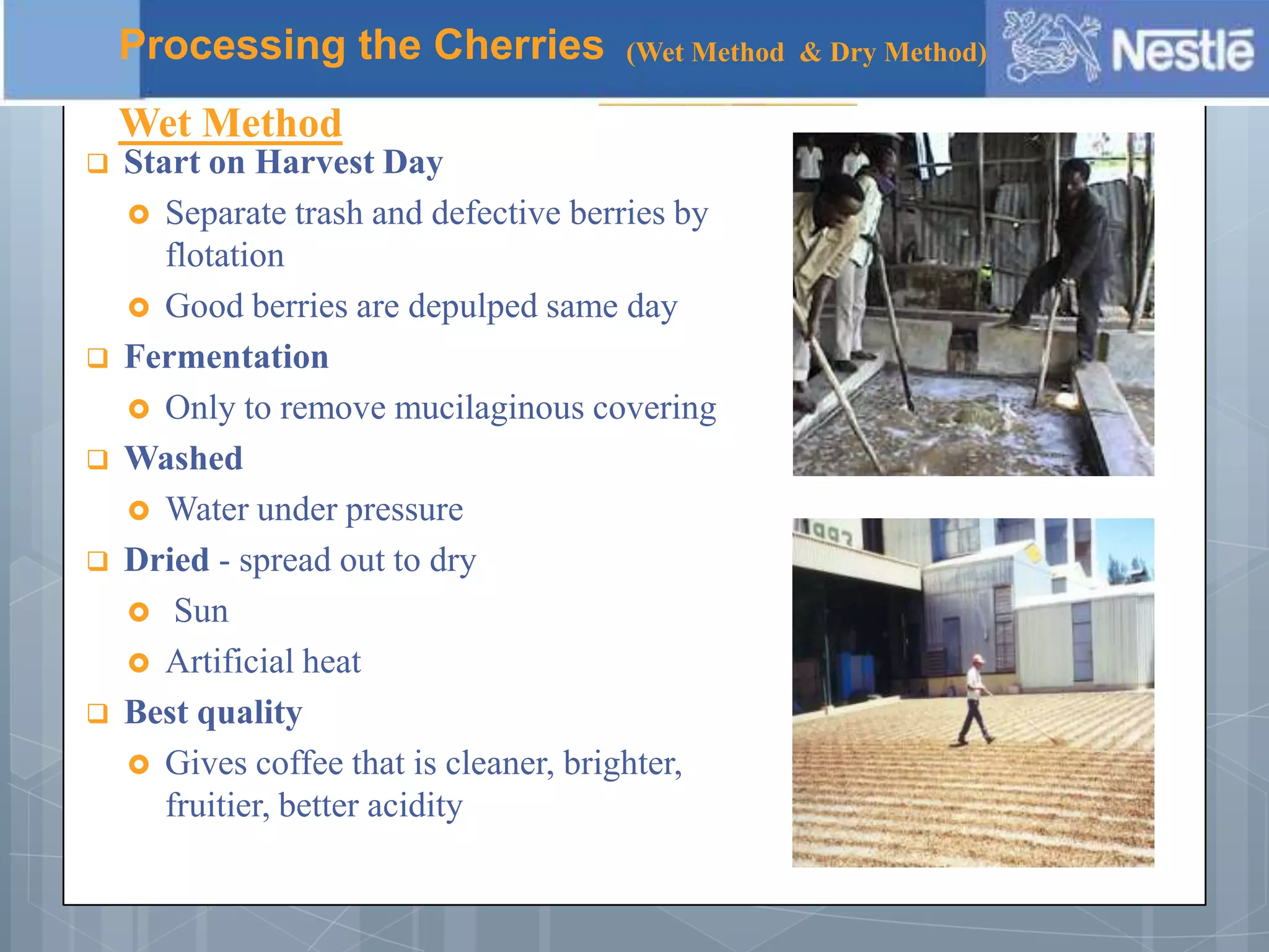  Start on Harvest Day
 Separate trash and defective berries by
flotation
 Good berries are depulped same day
 Fermentation
 Only to remove mucilaginous covering
 Washed
 Water under pressure
 Dried - spread out to dry
 Sun
 Artificial heat
 Best quality
 Gives coffee that is cleaner, brighter,
fruitier, better acidity
Processing the Cherries (Wet Method & Dry Method)
Wet Method
 