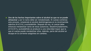  Uno de los hechos importantes sobre el alcohol es que no se puede
almacenar y por lo tanto debe ser metabolizado. El cuerpo comienza
este proceso, rompiendo el alcohol deshidrogenasa en la nicotinamida
adenina (N A D H) y acetaldehído. Después de eso, el cuerpo debe
entonces metabolizar tanto de estas sustancias. Desafortunadamente,
el N A D H y acetaldehído se producen a una velocidad mayor que la
que el cuerpo puede metabolizar ellos. Además, parte del alcohol se
escapa en la corriente sanguínea sin cambios.
 