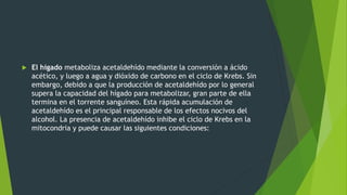  El hígado metaboliza acetaldehído mediante la conversión a ácido
acético, y luego a agua y dióxido de carbono en el ciclo de Krebs. Sin
embargo, debido a que la producción de acetaldehído por lo general
supera la capacidad del hígado para metabolizar, gran parte de ella
termina en el torrente sanguíneo. Esta rápida acumulación de
acetaldehído es el principal responsable de los efectos nocivos del
alcohol. La presencia de acetaldehído inhibe el ciclo de Krebs en la
mitocondria y puede causar las siguientes condiciones:
 
