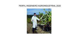PERFIL INGENIERO AGROINDUSTRIAL 2020
 
