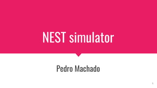 Computational Neurosciences and Cognitive Robotics Lab.
NEST simulator
Pedro Machado
1
 