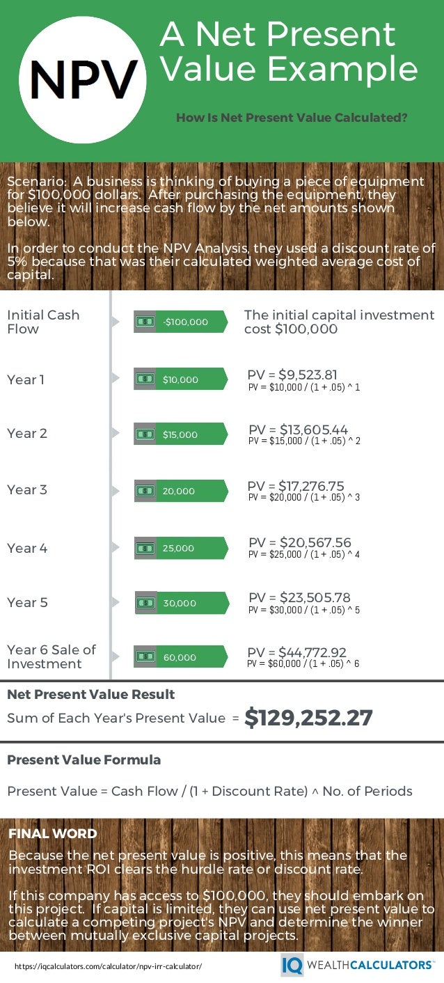 Net Present Value Infographic