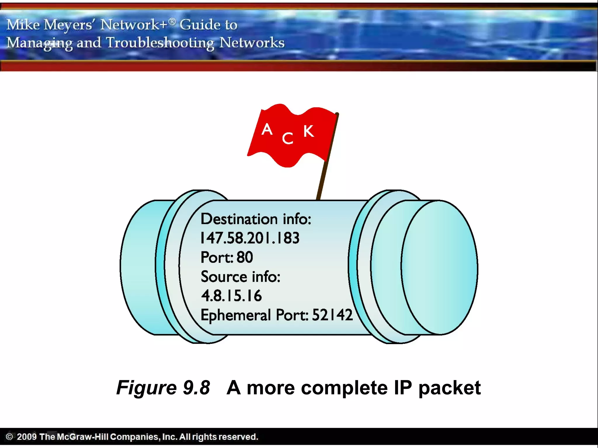 Figure 9.8 A more complete IP packet
 