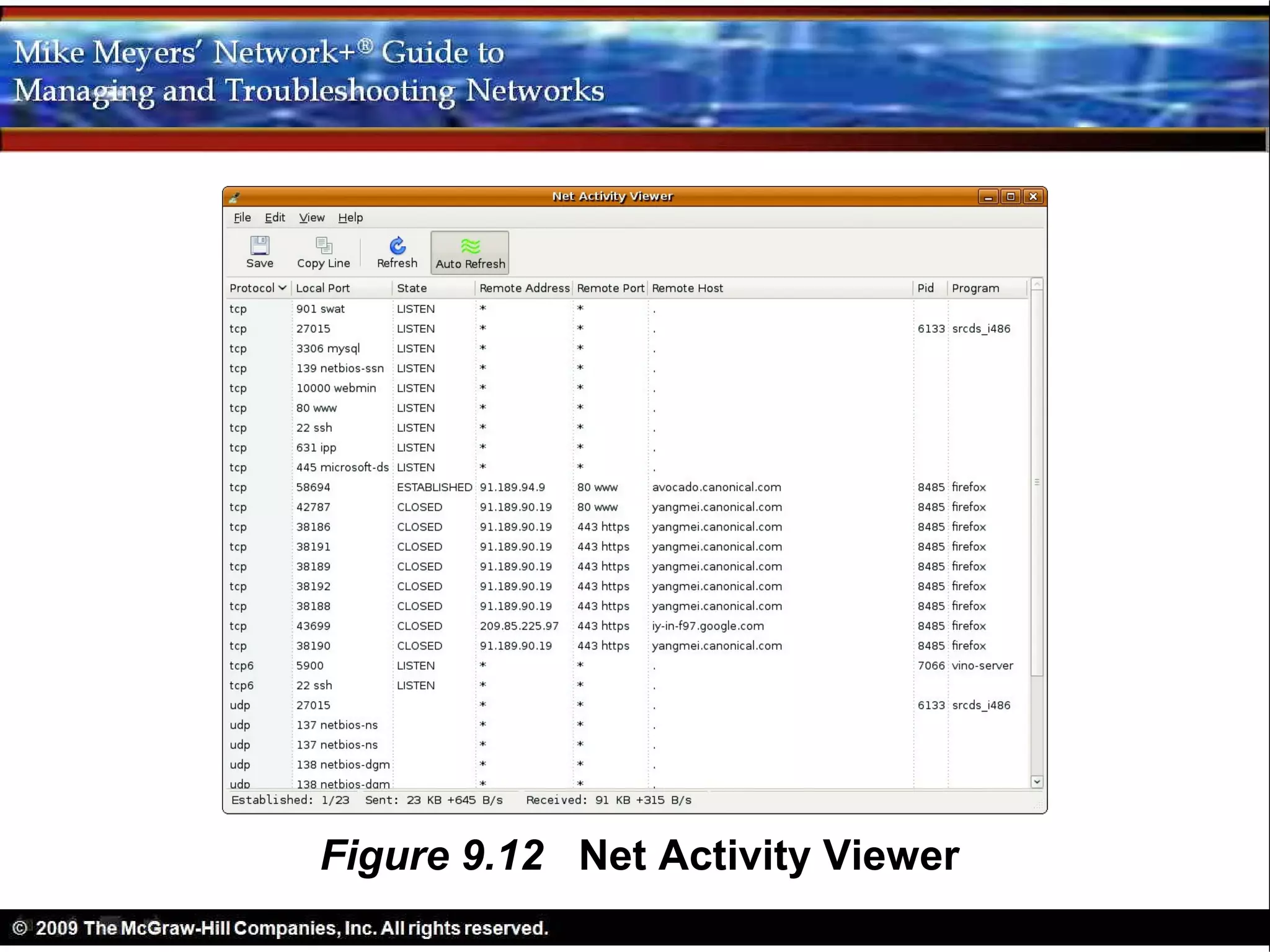 Figure 9.12 Net Activity Viewer
 