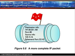 Figure 9.8 A more complete IP packet
 