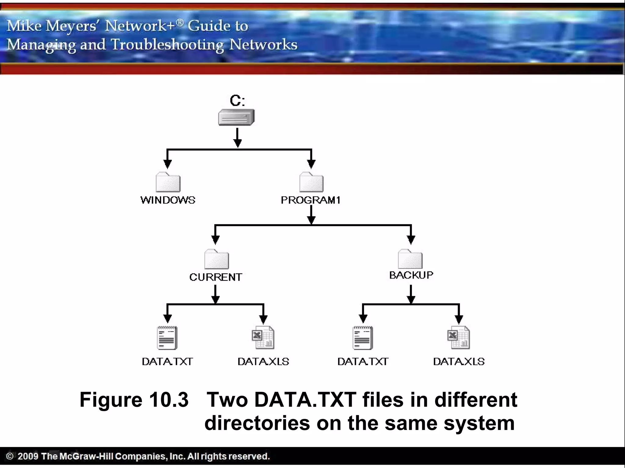 Figure 10.3 Two DATA.TXT files in different
            directories on the same system
 