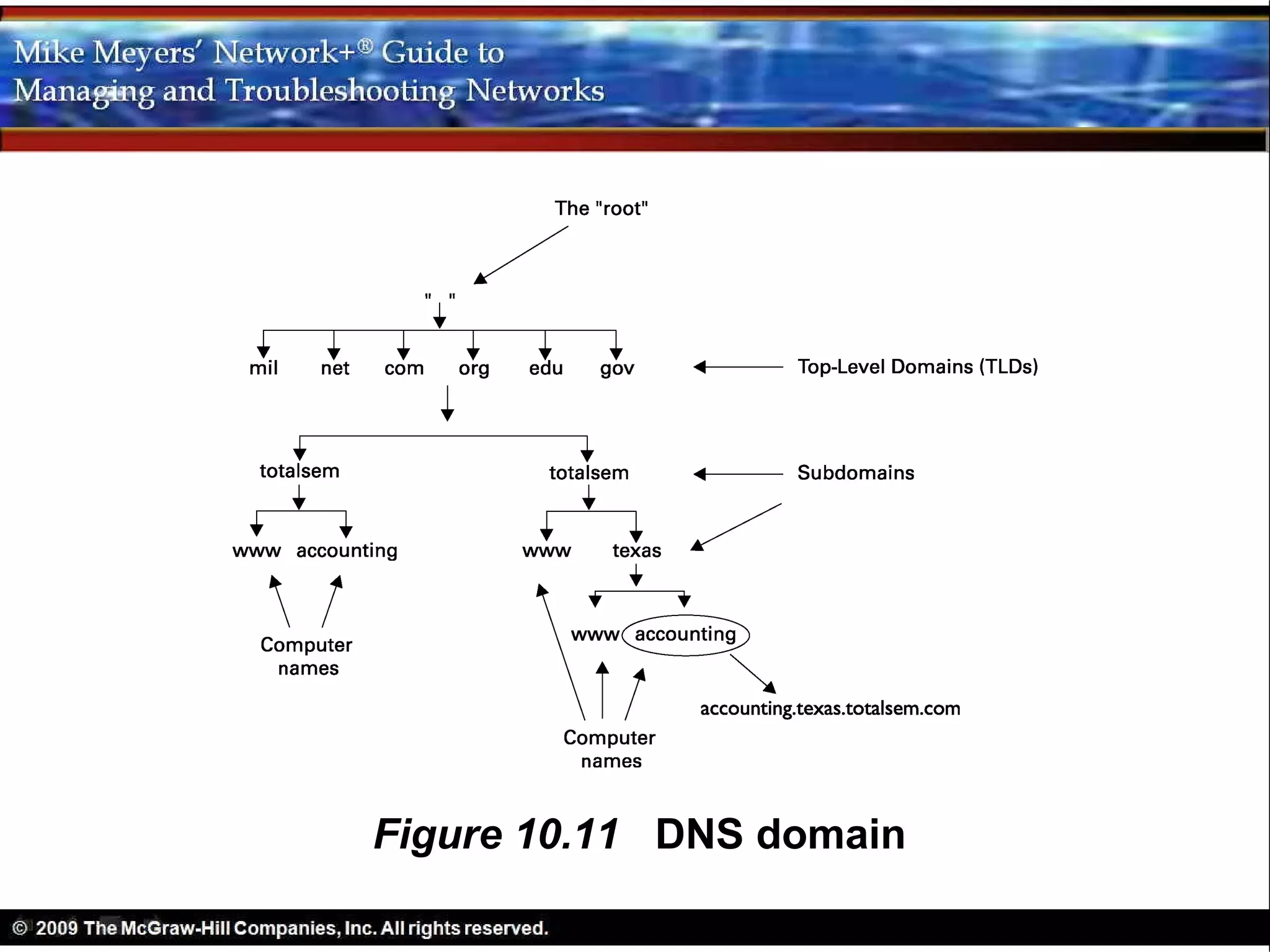 Figure 10.11 DNS domain
 