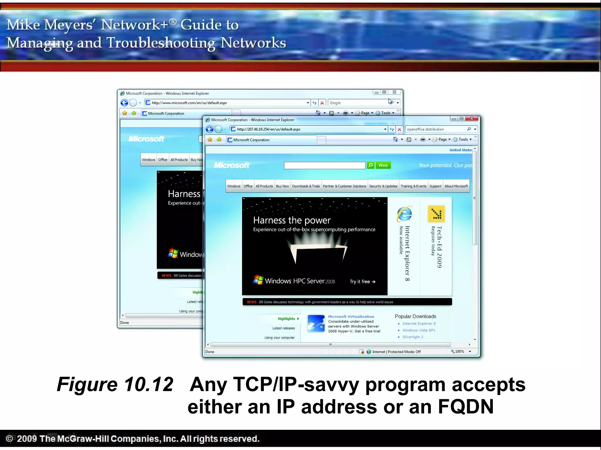 Figure 10.12 Any TCP/IP-savvy program accepts
             either an IP address or an FQDN
 
