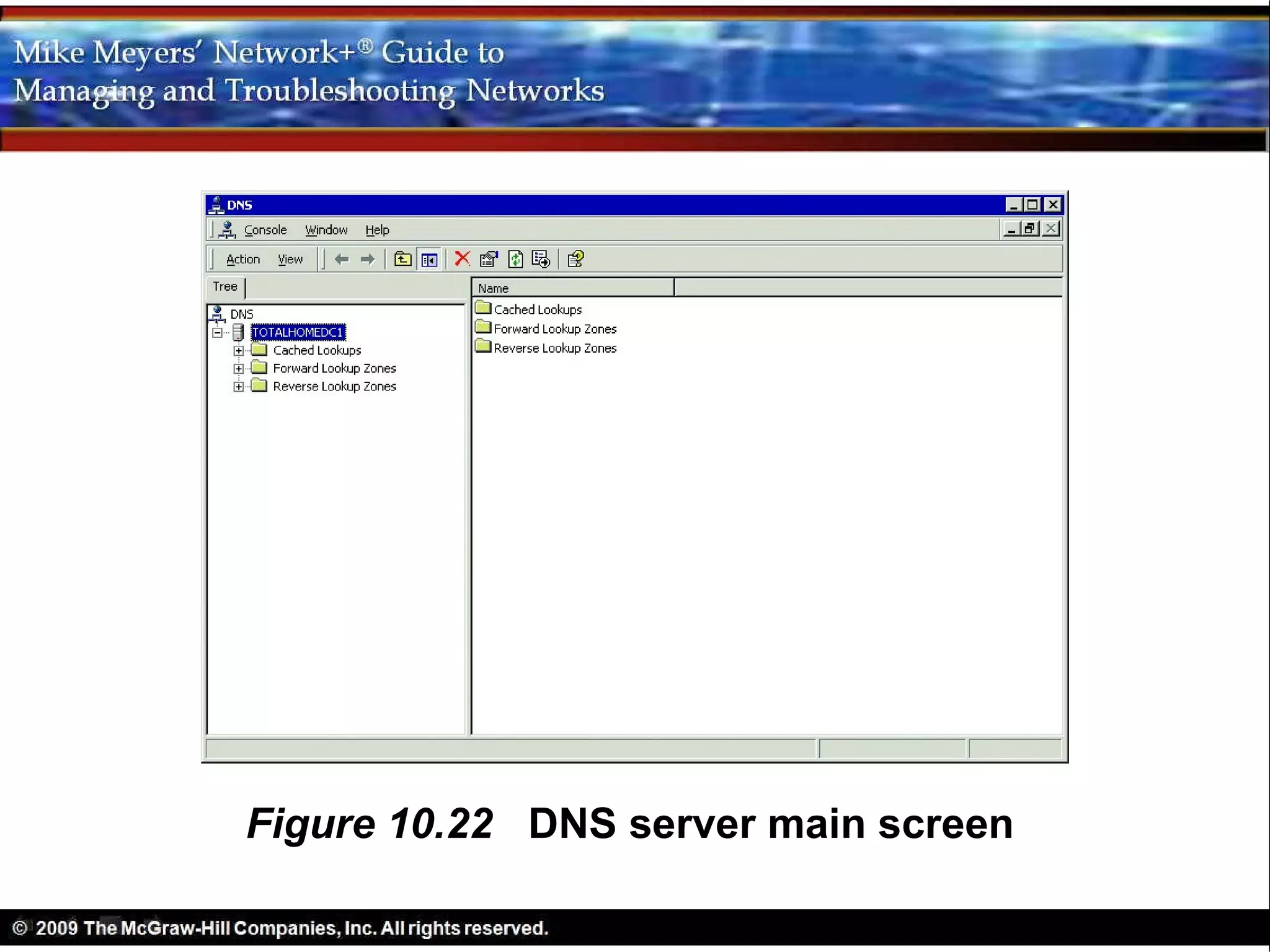 Figure 10.22 DNS server main screen
 
