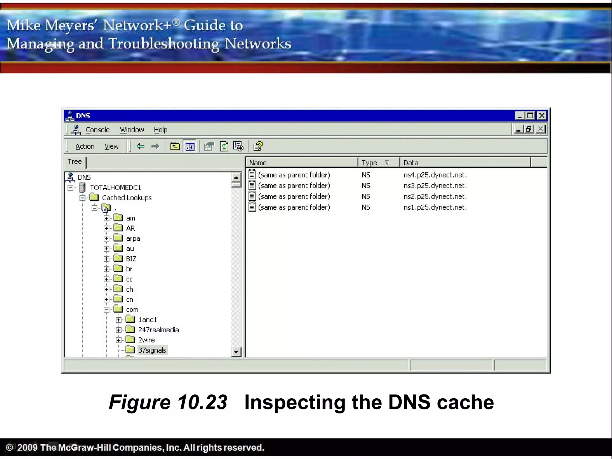 Figure 10.23 Inspecting the DNS cache
 