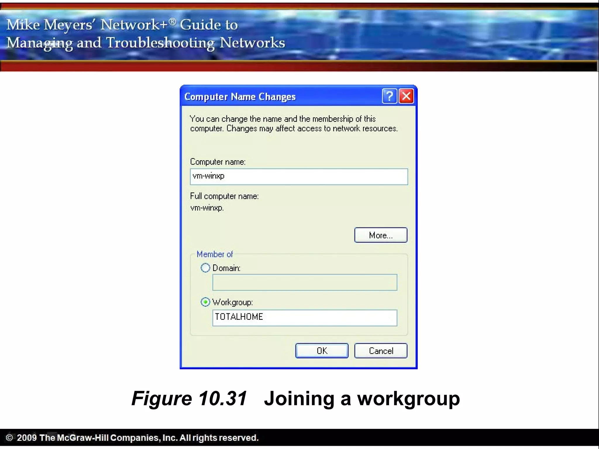 Figure 10.31 Joining a workgroup
 