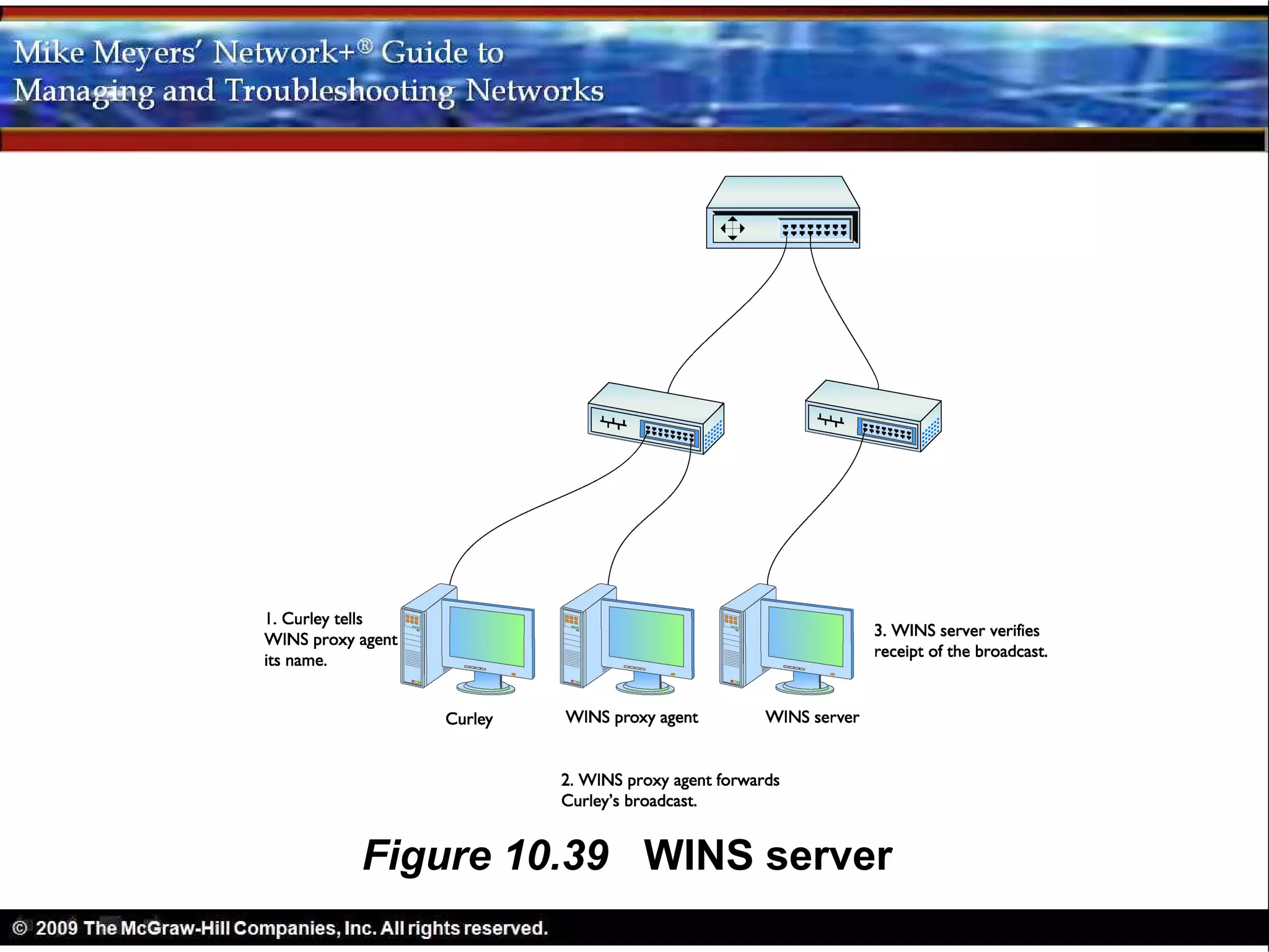 Figure 10.39 WINS server
 