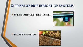  TYPES OF DRIP IRRIGATION SYSTEMS
• ONLINE EMITTER/DRIPPER SYSTEM
• INLINE DRIP SYSTEM
 