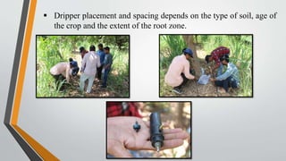  Dripper placement and spacing depends on the type of soil, age of
the crop and the extent of the root zone.
 
